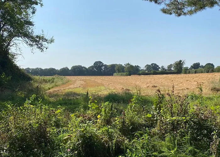 Séjour à la ferme Countryside Pods *
