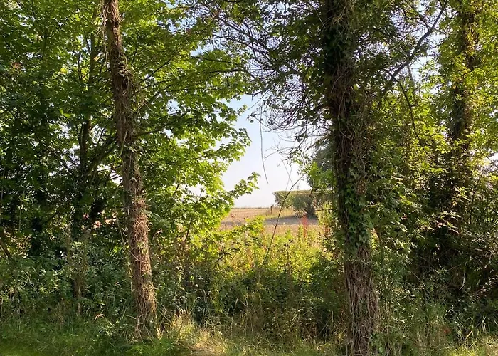Séjour à la ferme Countryside Pods Kildare